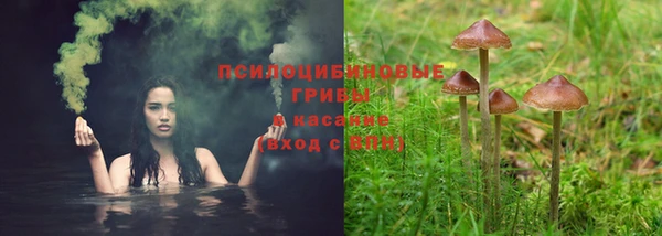 метадон Козельск