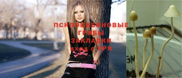 метадон Козельск