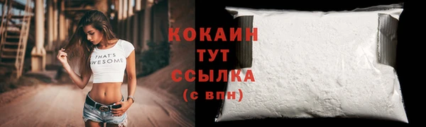 стаф Кодинск