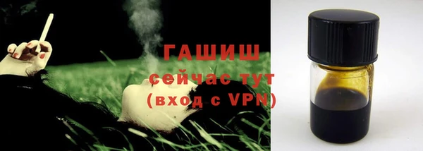 стаф Кодинск