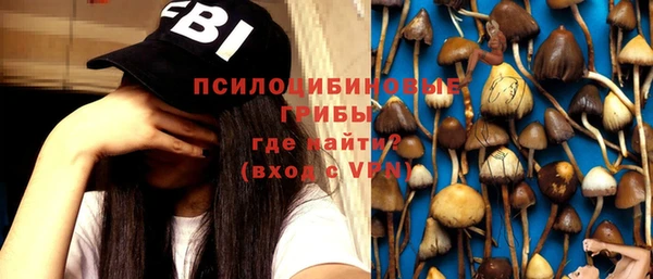 мет Кинешма