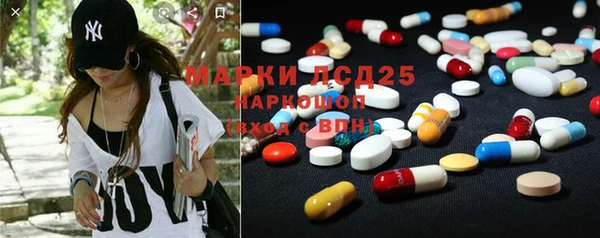 стаф Кодинск