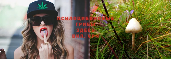 2c-b Киренск