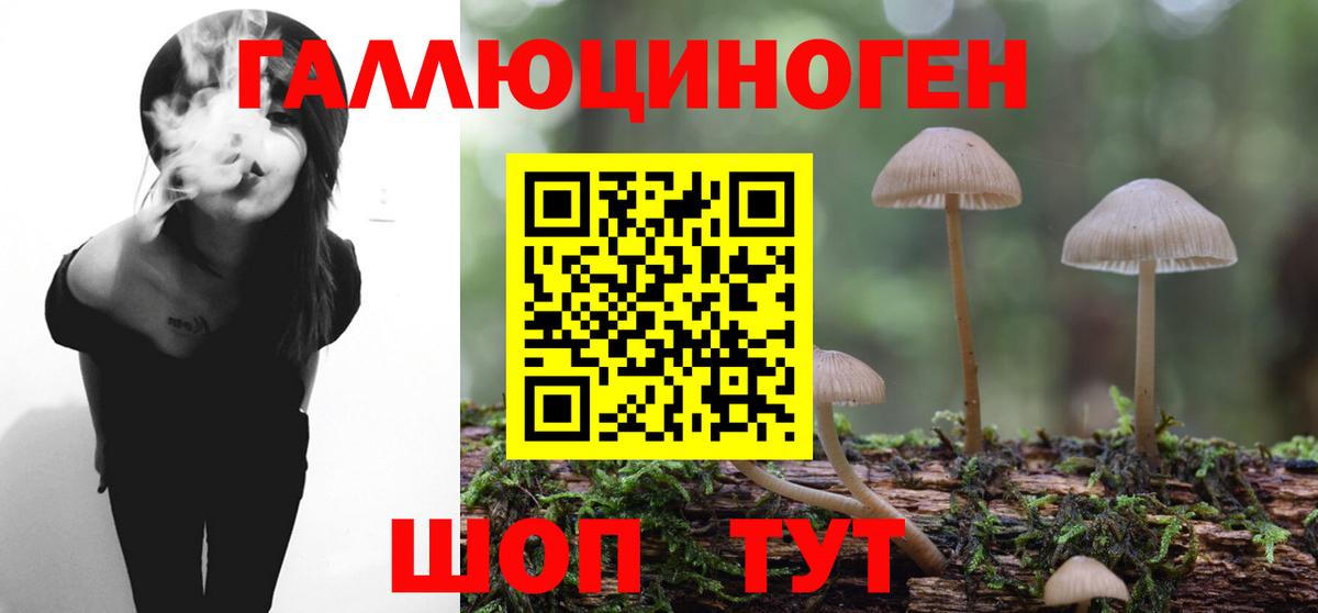 Красноармейск  Псилоцибиновые грибы мухоморы  Вход с VPN 
